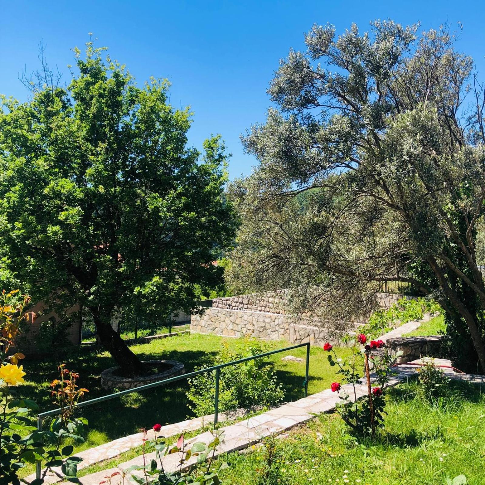 בודווה Vila Oaza Markovici מראה חיצוני תמונה